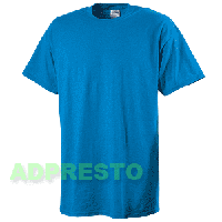 ギルダンＴシャツ